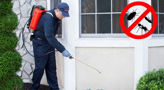 Mazıdağı Gümüşkurt İlaçlama böcek ilaçlama ve haşere kontrolü — ilaclama-tr.com